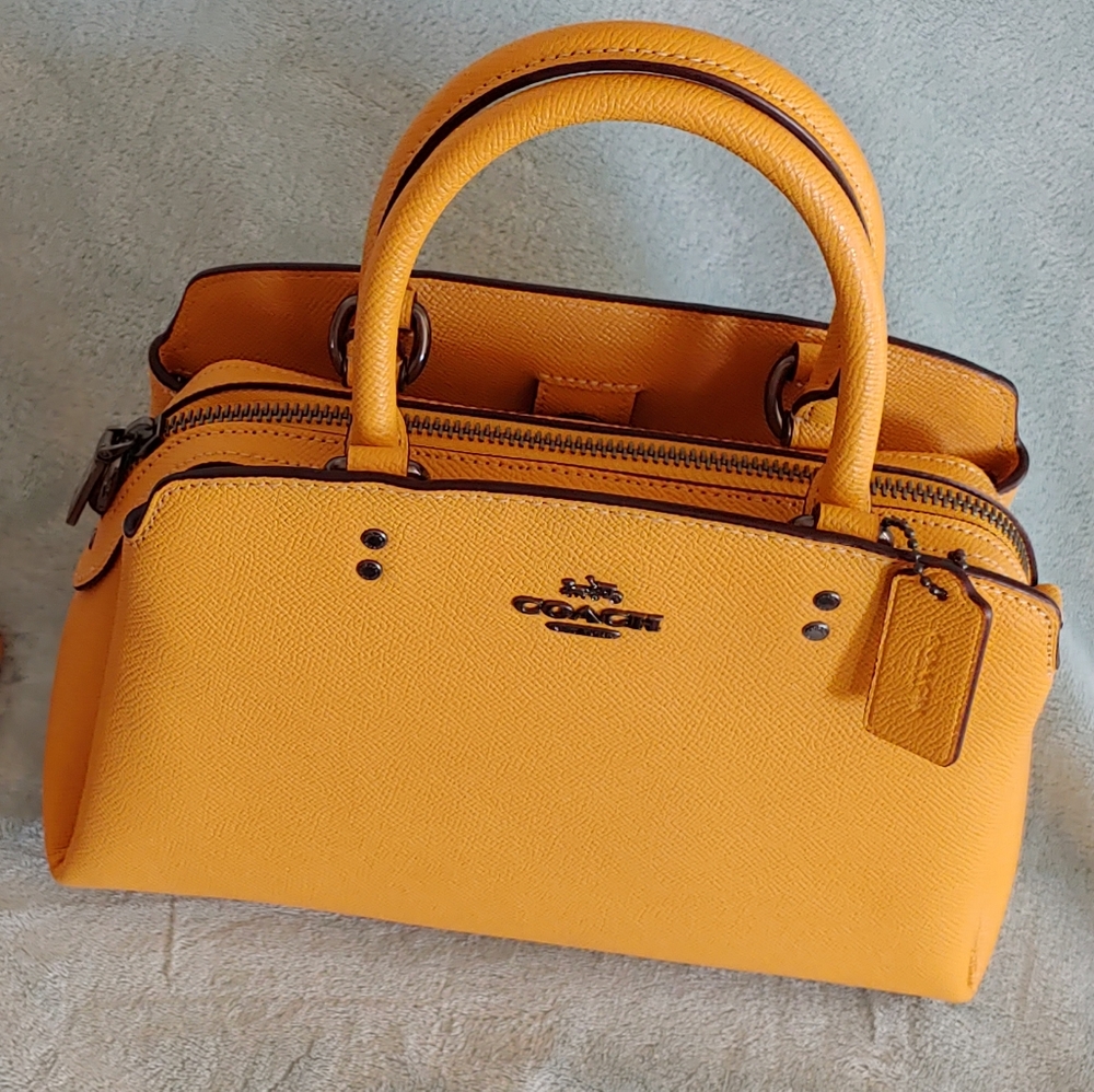 Coach Mini Lily Carryall NWT